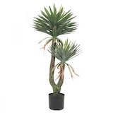 thumbnail of LIGNE DÉCO Yucca artificiel 2 troncs 150cm