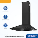 thumbnail of Exquisit Kamin-Dunstabzugshaube, 60cm Breite, Umluft, Abluft, 68 Watt, KH 60-8.3 inox