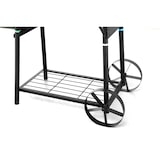 thumbnail of tepro Smoker Biloxi