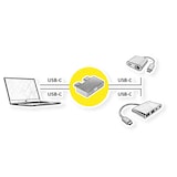 thumbnail of ROLINE USB 3.2 Gen 2 Adapter, 2x USB type C - 2x type C, M/F, zilver