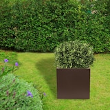 thumbnail of WellHome - Pflanztopf aus Polyethylen in Bronze 50x50x50cm
