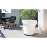 thumbnail of Prosperplast - Mobile Plattform für Pflanzen mit vier Rollen, rund, 29,2 x 29,2 x 4 cm in Anthrazit