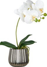 thumbnail of CREATIV green künstliche Pflanze Phalaenopsis mit Keramiktopf in Silber, weiß, 36cm, Real Touch, im 2er Set