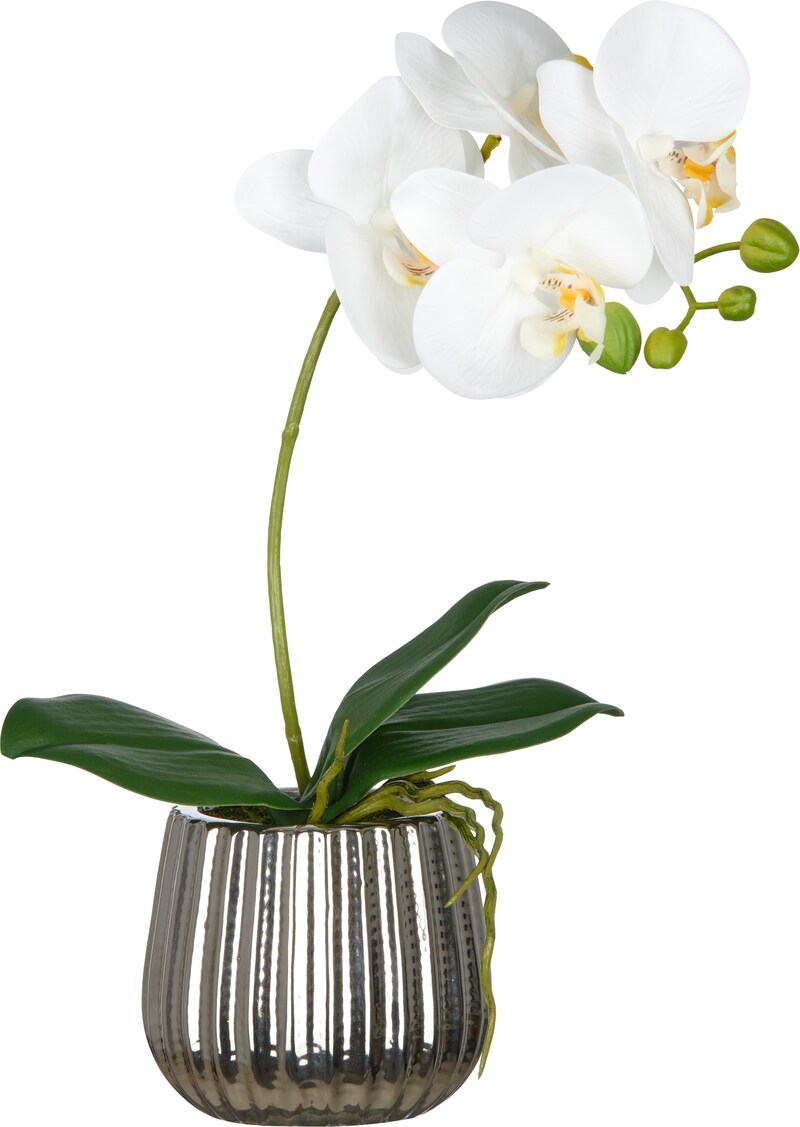 mobile_image