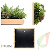 thumbnail of Bonerva | Jardín Vertical Maldivas | Pieza 50x50cm Con Marco | Planta artificial decoración oficina, hotel, restaurante| MAL1220