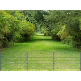 thumbnail of Gartenzaun Mattenzaun Doppelstabmattenzaun Anthrazit Grau Rund 2,4 m x 50 m