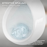 thumbnail of ECD Germany Urinal Weiß 35×46×30 cm Zulauf hinten – Keramik Pissoir oval, spülrandlos, moderner Stil, senkrechter Ablauf