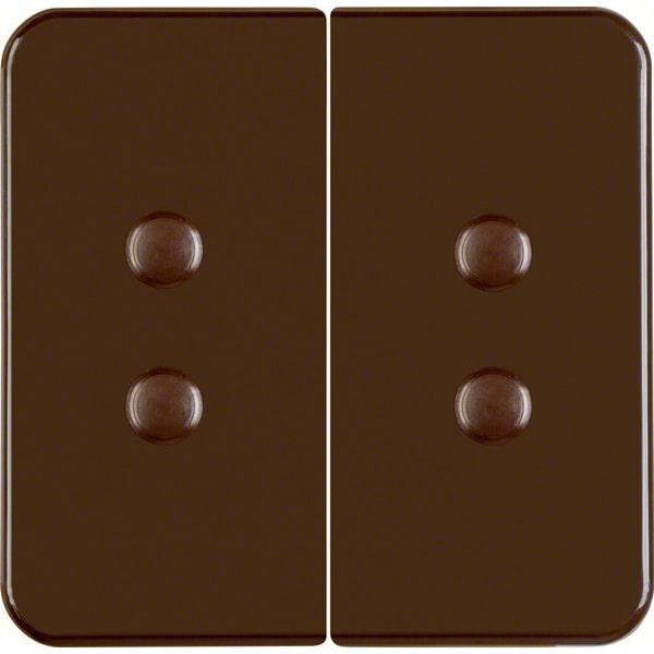 Berker Wippe br/gl 156511