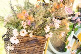 thumbnail of Künstliche Kosmee mit Stiel 65cm Gräßer Eukalyptus Kunstblumen Seidenblumen Dekoblumen Blumendeko Wiesenblumen Wildblumen Stielblumen Pfirsich Rosa