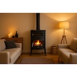 thumbnail of Estufa de leña con horno ANTARES IRON 24.28 kW, fundición completa, calienta hasta 305 m³, alta potencia