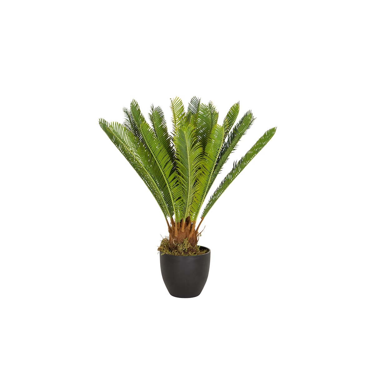 Kunstplant / Kunst palmboom CYCAS kunststof groen - hjh OFFICE