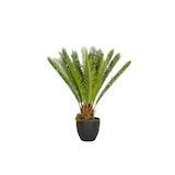 thumbnail of Kunstplant / Kunst palmboom CYCAS kunststof groen - hjh OFFICE