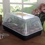 thumbnail of Mini invernadero para semillas  RAPID GROW 38x24x19cm TRANSPARENTE