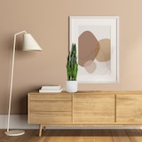 thumbnail of Planta artificial / árbol artificial SANSEVIERIA plástico verde hjh OFFICE