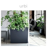 thumbnail of Prosperplast - Vaso URBI CASE W antracite, dimensioni 580x180x195mm