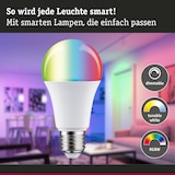 thumbnail of Paulmann Preisattraktives Starterset Zigbee 3.0 LED Birne E27 RGBW + Gateway smik + Schalter 5190