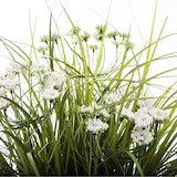 thumbnail of Atmosphera - Maceta decorativa de hierbas silvestres Ø50x46,5cm