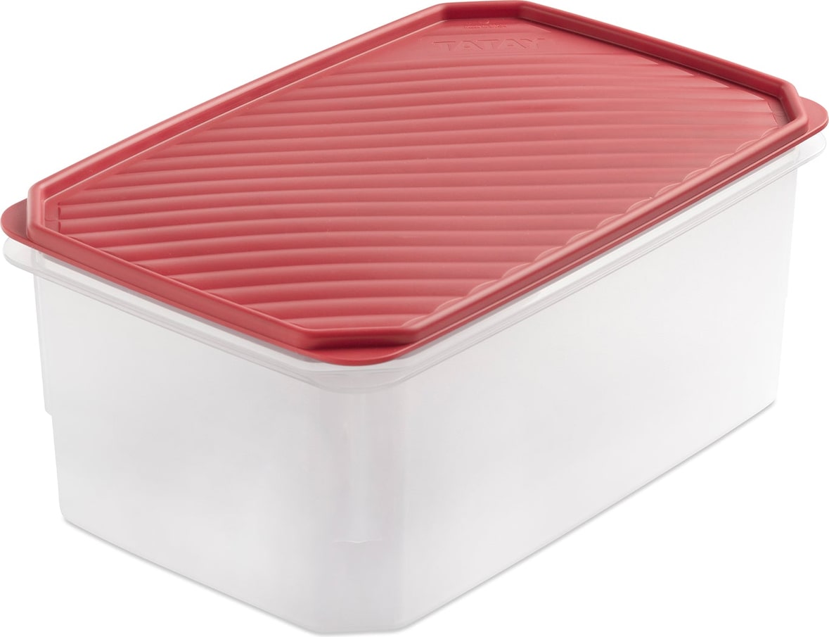 TATAY Top Flex - Recipiente Rectangular Plano 4.7L con Cierre a Presión ...