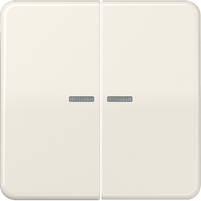 Jung Wippe Lichtleiter ws CD 595 KO5 CD595KO5