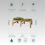 thumbnail of HORTALIA Mesa expositora de madeira Blossom