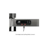 thumbnail of Barbecue a gas genesis ex335 35610029