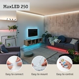 thumbnail of Paulmann MaxLED 250 Strip LED Kit de base 1m 2700K 1m revêtue IP44 4W 300lm/m 30 LEDs/m 2700K 12VA 78893