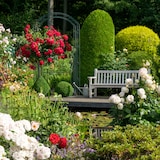 thumbnail of Relaxdays Rosenbogen mit Tür, Garten Rankhilfe Kletterpflanzen, Torbogen Metall, wetterfest, HBT 215 x 115 x 43 cm, grün