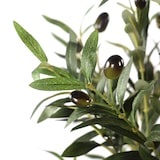 thumbnail of Pianta artificiale / albero artificiale OLIVE I 172 cm verde hjh OFFICE
