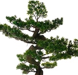 thumbnail of WellHome - Künstlicher Bonsai für drinnen und draußen, 20x20x17,5cm