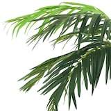thumbnail of vidaXL Künstliche Palme Phönix mit Topf 190 cm Grün