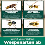 thumbnail of Wespenspray: 12 x 500 ml