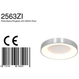 thumbnail of Steinhauer Deckenleuchte 1-fl. "Ringlede" 2563ZI Silber