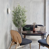 thumbnail of Bonerva | Olivo Nature 150 cm Altura | Planta artificial con Tronco natural | Ideal para decorar interiores: hogares, negocios y hoteles