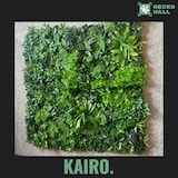 thumbnail of KAIRO | Premium Dschungel Farn Pflanzenwand 50x50cm |Gastronomie Wandverkleidung | Kunstpflanzen Wandmontage Indoor| Regenwald Wandpaneele Pflanzen