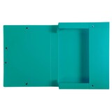 thumbnail of Exacompta - Réf. 59783E - 8 boites de Classement Exabox Dos 40mm polypropylène 7/10e OPAK - A4 - Vert foncé