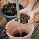 thumbnail of TOMATO BUDDY Tomaten- rankhilfe