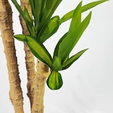 thumbnail of Kunstplant Dracena Multi 150 Cm Voor Binnen en Buiten