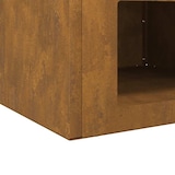 thumbnail of vidaXL Vuurkorf Roestig 50 x 50 x 40 cm Cortenstaal