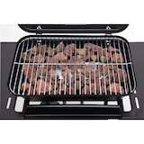 thumbnail of tepro Lavasteingasgrill Irvine