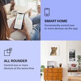 thumbnail of Wonderwall Air Art Smart Infrarotheizung Löwe 60x60cm 350W Mehrfarbig