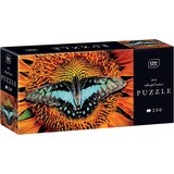 thumbnail of Interdruk Puzzle 250 Teile Bunte Natur 2 Schmetterling