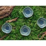 thumbnail of CreaTable Yuki Grün-blau Mehrzweckschale 4-tlg Steinzeug