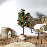 thumbnail of NATURN LIVING Planta artificial Naranja Enana - ø 65 x 125 cm - Plástico Cítricos - Naranja