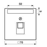 thumbnail of Jung Abdeckung für IAE/UAE LC 969-1 NAUA 202 LC969-1NAUA202