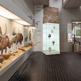 thumbnail of Vitrine armoire H 180 x L 80 cm socle blanc toit verre