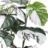 thumbnail of CREATIV green Künstliche Pflanze Monstera deliciosa Variegat 110cm im Topf