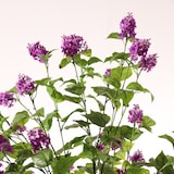 thumbnail of Plantas artificiales Naturing Monde Hortensia paniculata morada 160cm