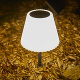 thumbnail of Lumisky Lampe de table solaire à poser ou à piquer LADY SPIKE H62cm Acier Gris