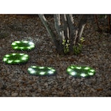 thumbnail of PROREGAL Mega Deal 12x Solarlampe NATURE mit automatischer Einschaltfunktion, Ø 24cm, 8 LEDs, Automatisches Schalten, Gartenlampe, Rattanlampe, LED