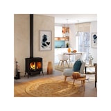 thumbnail of Vrijstaande houtkachel - HELIOS S8 ECO